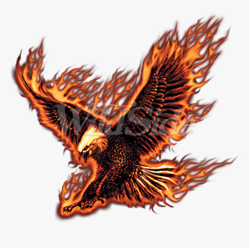 Transparent Eagle - Eagle Fire No Background, HD Png Download, Free Download