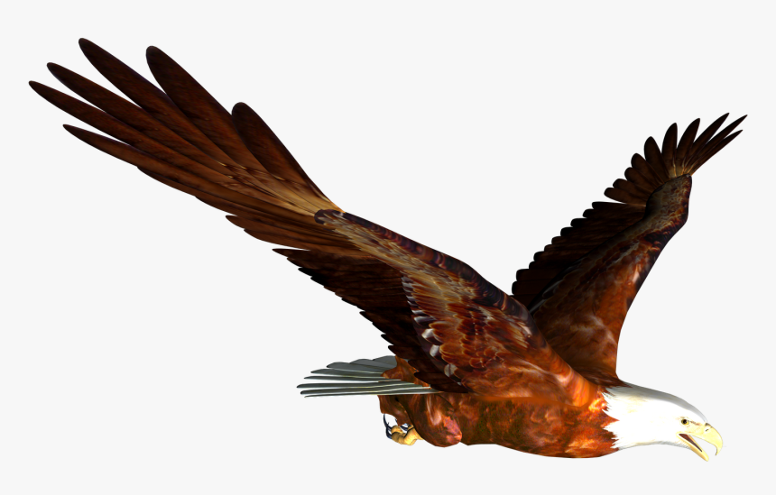 Flying Eagle Png Image, Free Download - Flying Eagle Clipart Gif, Transparent Png, Free Download