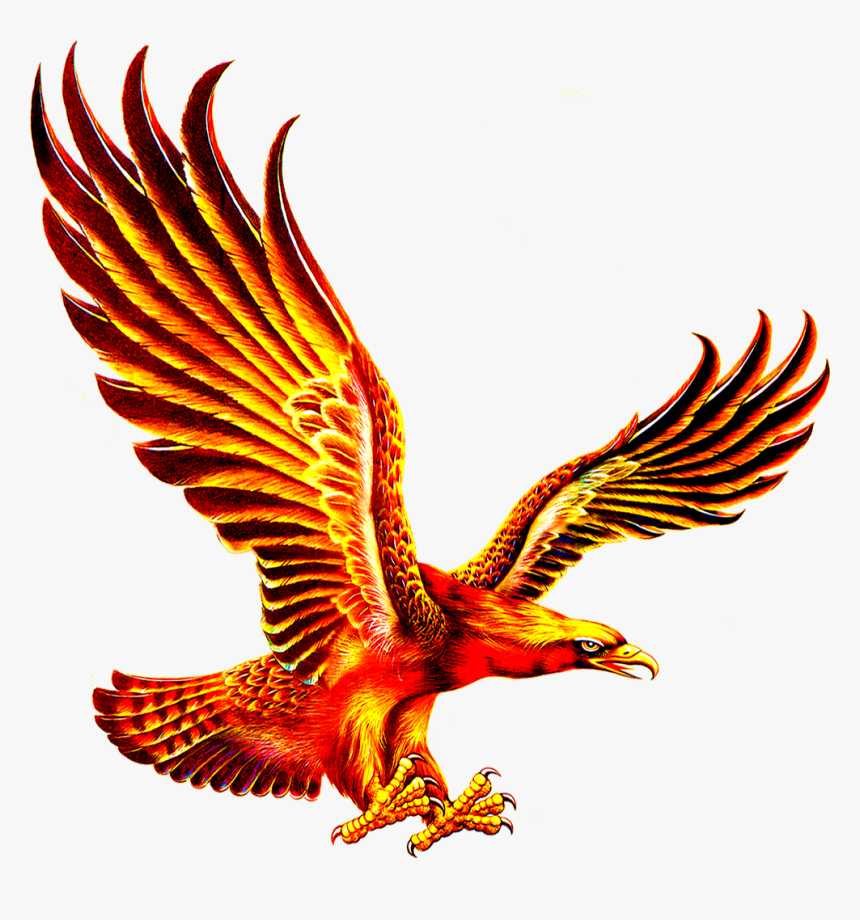 Logo Gold Eagle Png, Transparent Png, Free Download