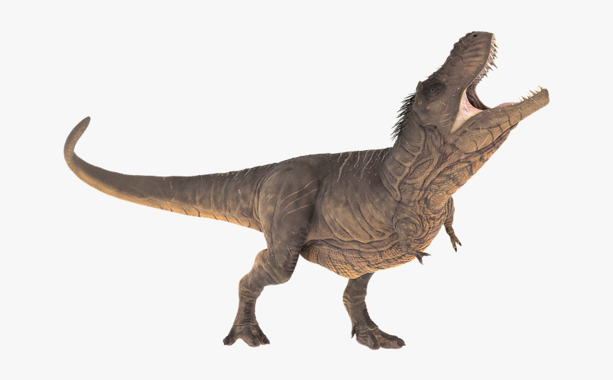 Velociraptor Transparent Outline - T Rex Transparent, HD Png Download, Free Download