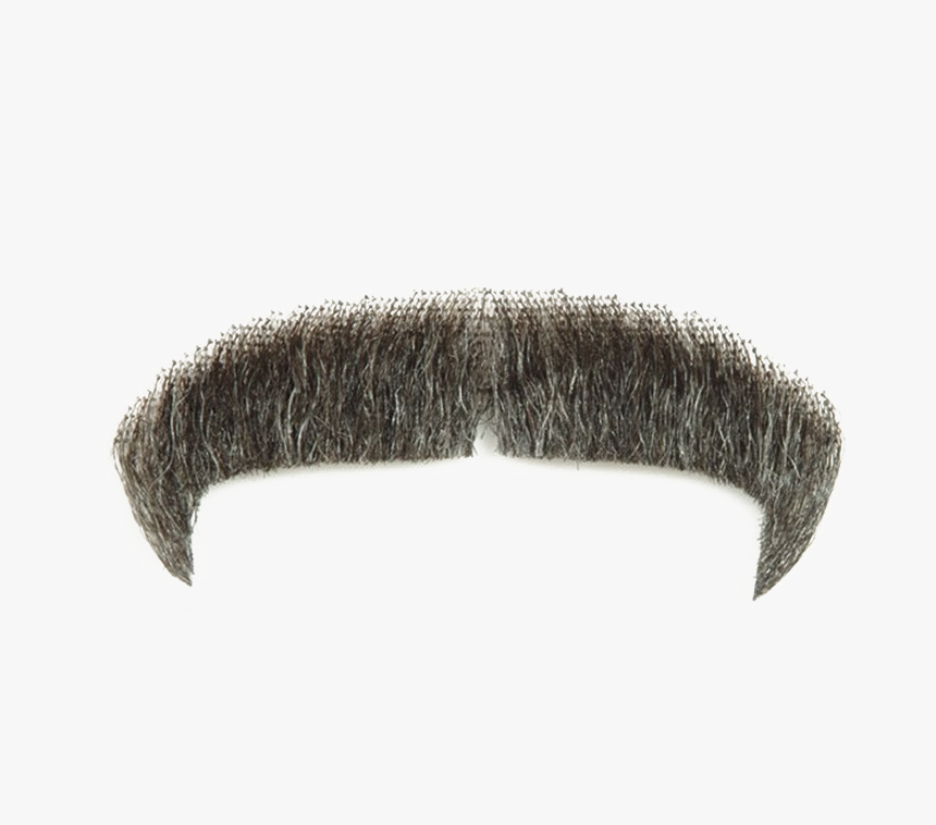 Moustache Png Image Transparent - Real Mustache Png Transparent, Png Download, Free Download