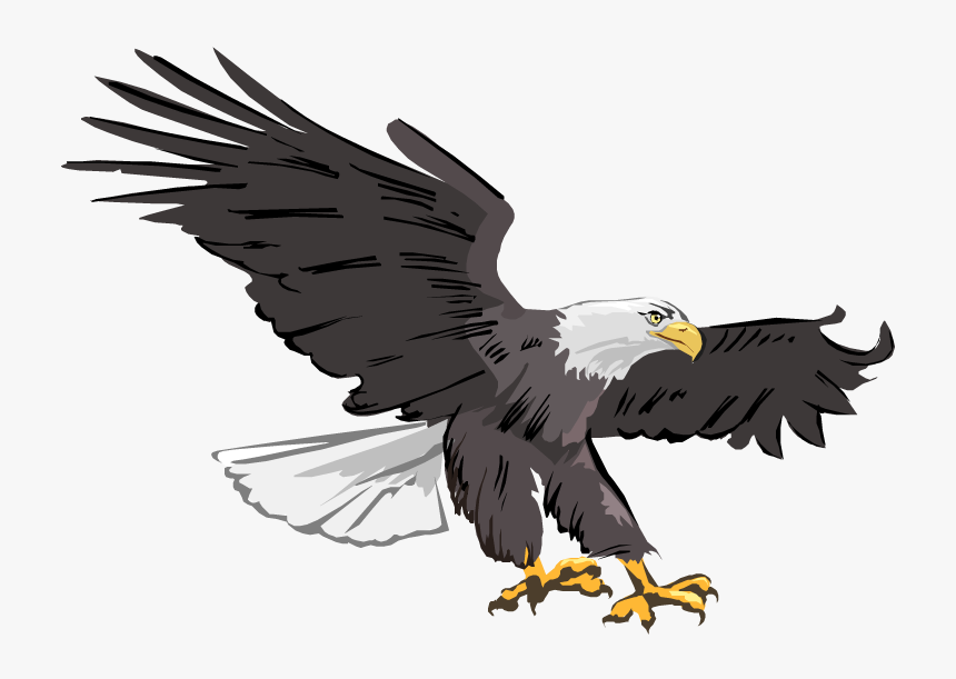 Bald Eagle Images Png Image Clipart - Eagle Clipart Transparent, Png Download, Free Download