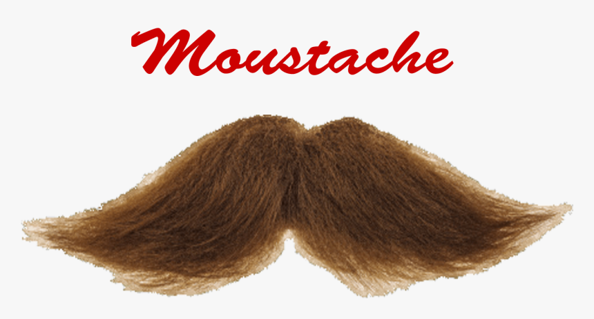 Moustache Png Picture - Wig, Transparent Png, Free Download