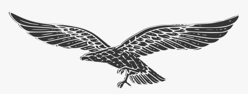 Transparent Eagle - Nazi Eagle Without Swastika, HD Png Download, Free Download