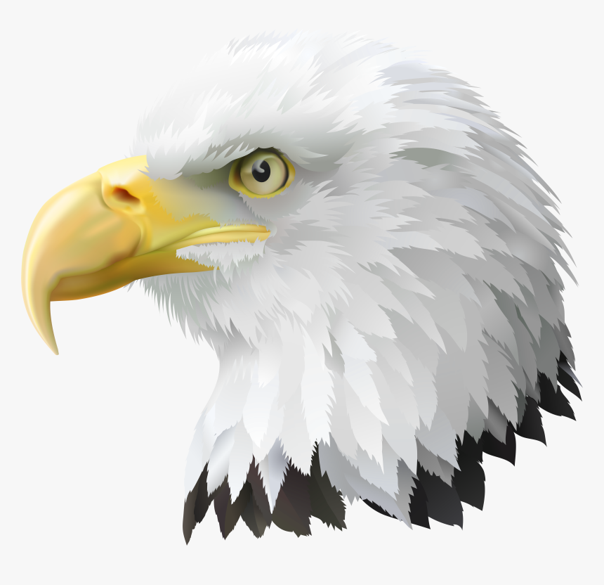 American Eagle Png, Transparent Png, Free Download