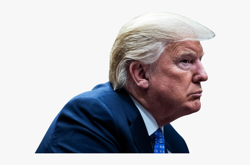 Donald Trump Png Image Free Download Searchpng - Donald Trump De Perfil, Transparent Png, Free Download