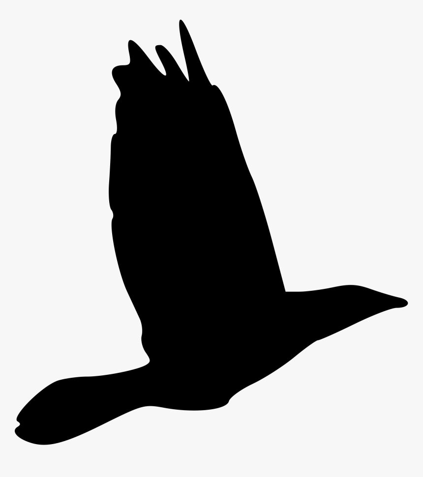 Black And White Bird Drawings - Dessin Oiseaux En Vol, HD Png Download, Free Download