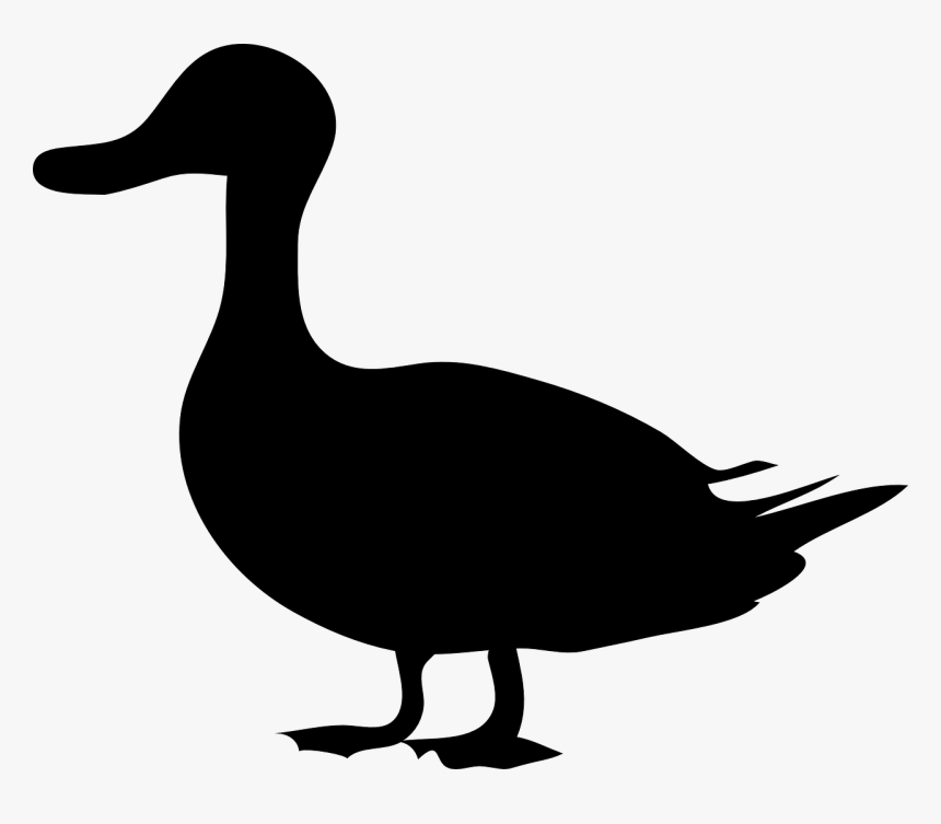 Duck Silhouette, HD Png Download, Free Download