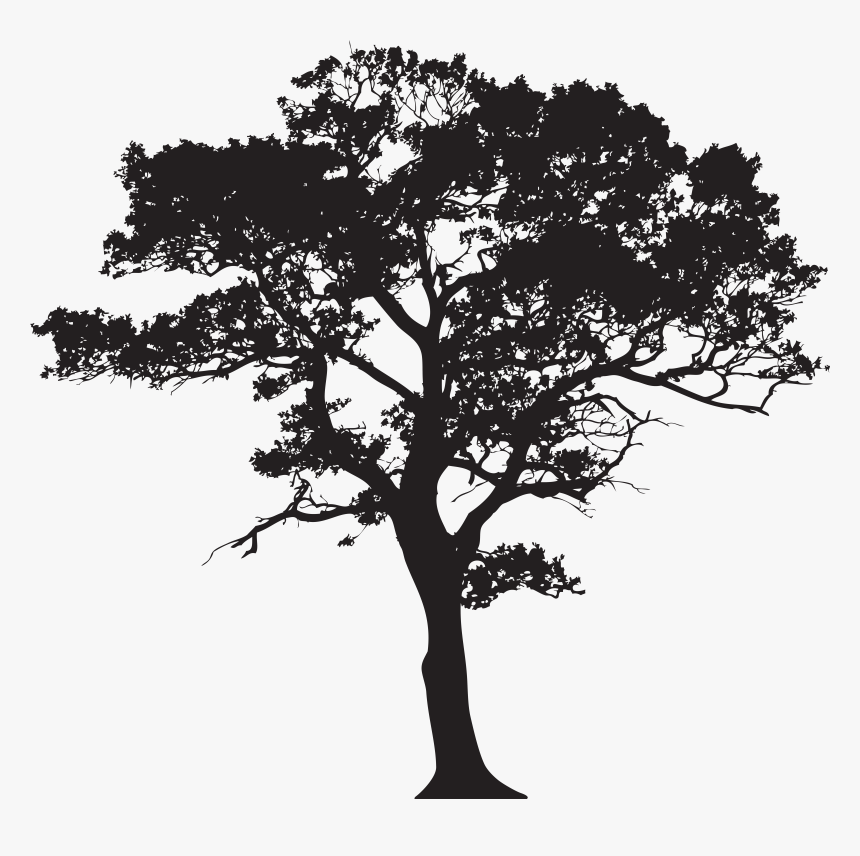 Silhouette Tree Free Frame Clipart, HD Png Download, Free Download