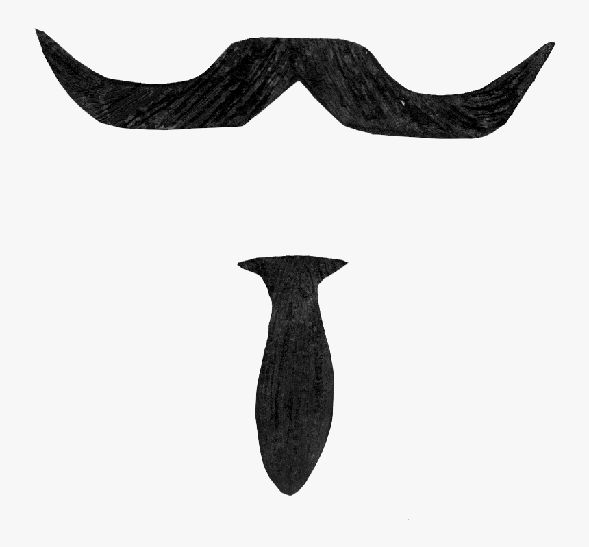 Mexican Mustache Png - Portable Network Graphics, Transparent Png, Free Download