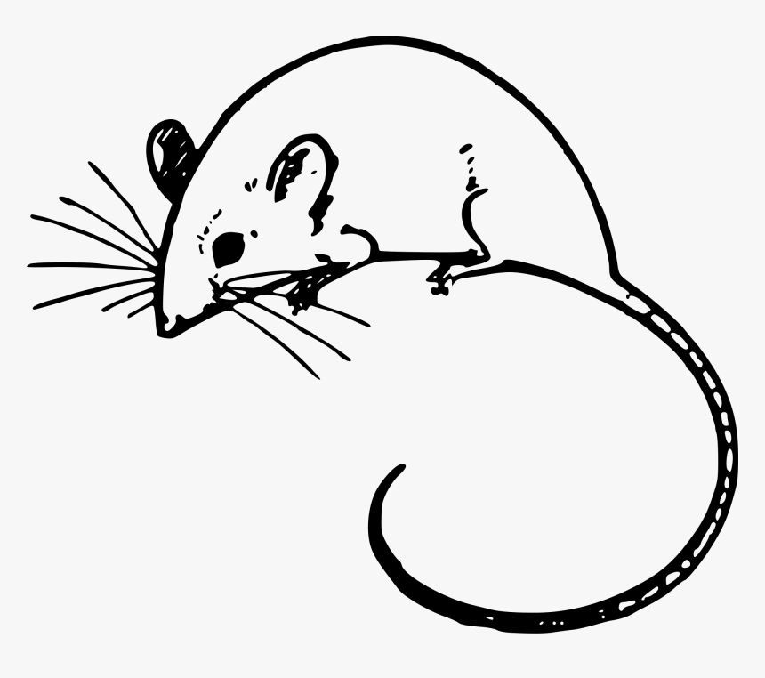 Mice Svg - Mouse Clipart Black And White, HD Png Download, Free Download
