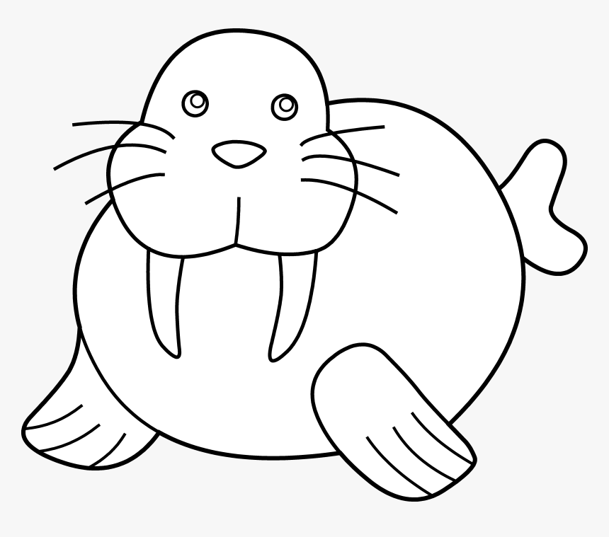 Best Walrus Clipart - Seal Clipart Black And White, HD Png Download, Free Download