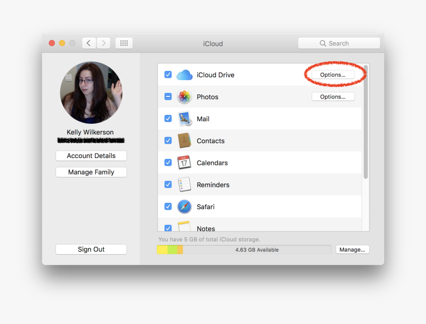 Icloud Preferences Macos Sierra - Icloud Account Details, HD Png Download, Free Download