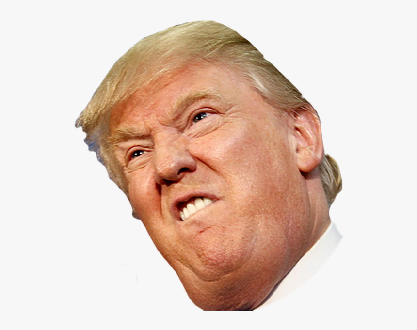 United Politician Trump Youtube States Donald Crippled - Donald Trump Head Clear Background, HD Png Download, Free Download