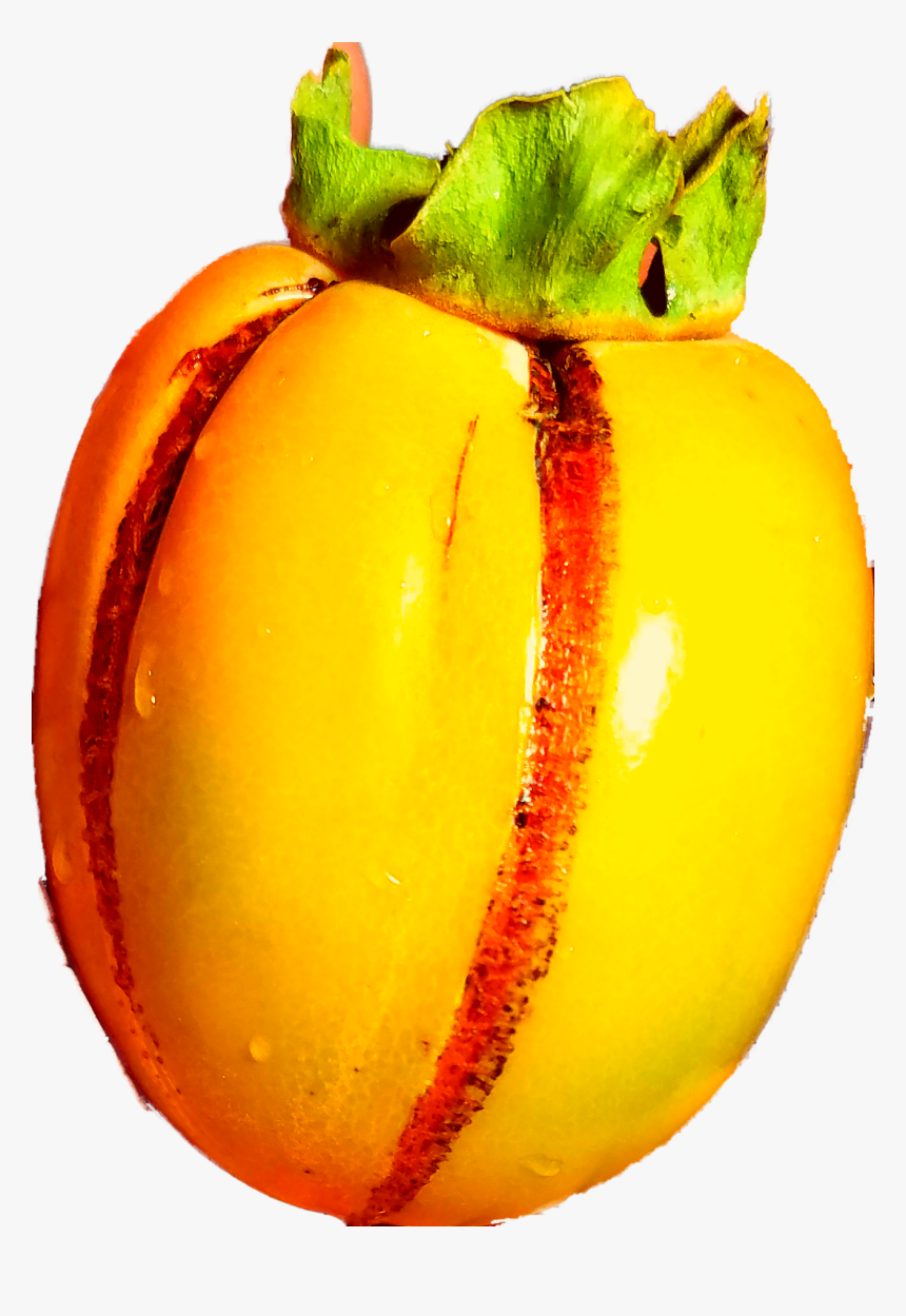 Fruity Loops Logo Fruit, HD Png Download, Free Download