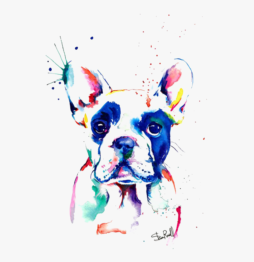 Bulldog Watercolor Painting Drawing French Free Hq - French Bulldog Drawing Color, HD Png Download, Free Download