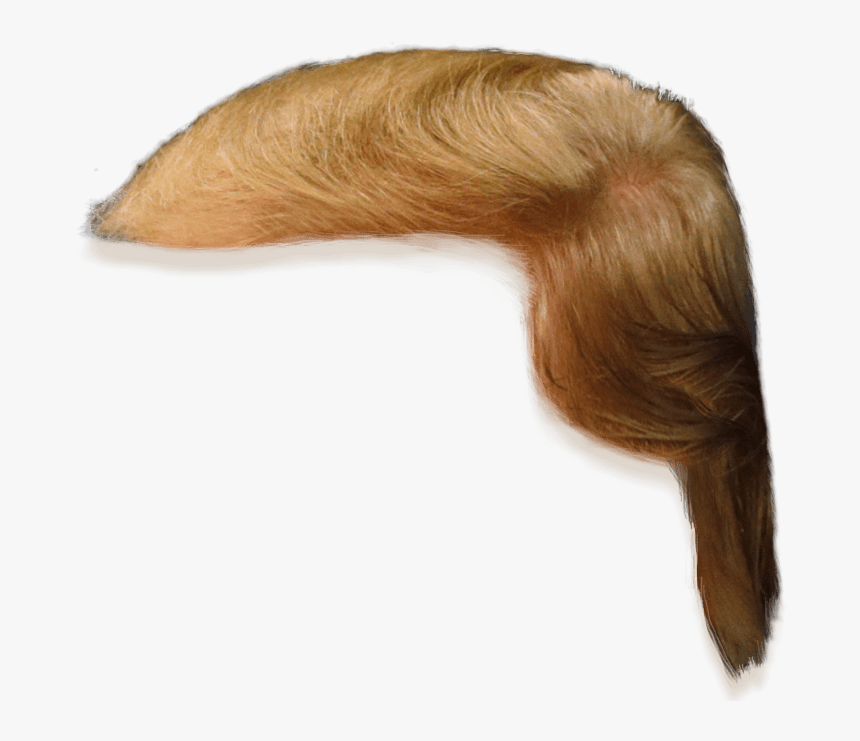Donald Trump Hair Side View Png Clipart - Donald Trump Hair Only, Transparent Png, Free Download
