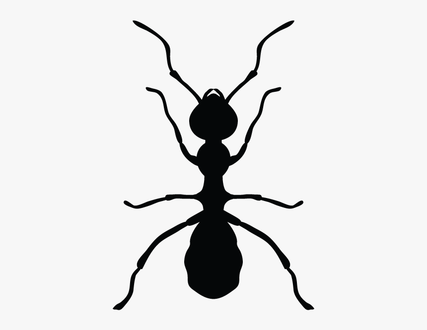 Ants In Minnesota Homes And Offices - Pest Control Png Logos, Transparent Png, Free Download