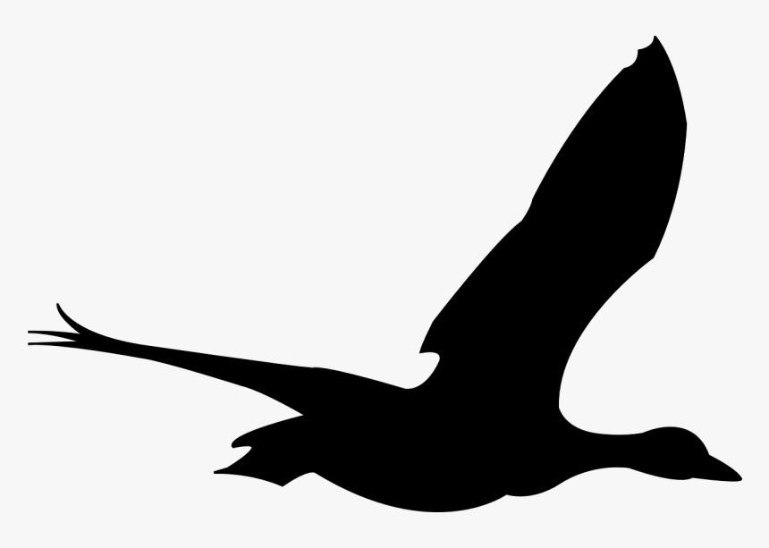 Bird Flying Animation Png, Transparent Png, Free Download