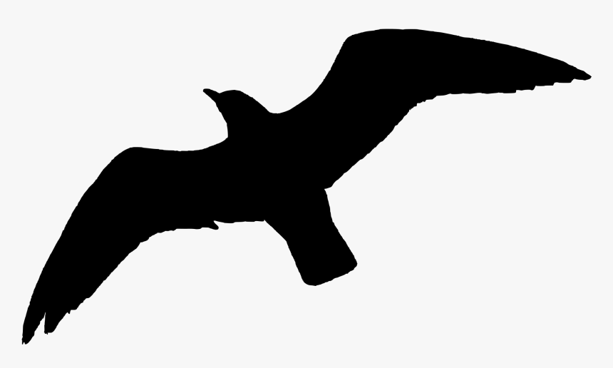 Filered Billed Gull In Flight Silhouette - Bird Silhouette Flying Png, Transparent Png, Free Download