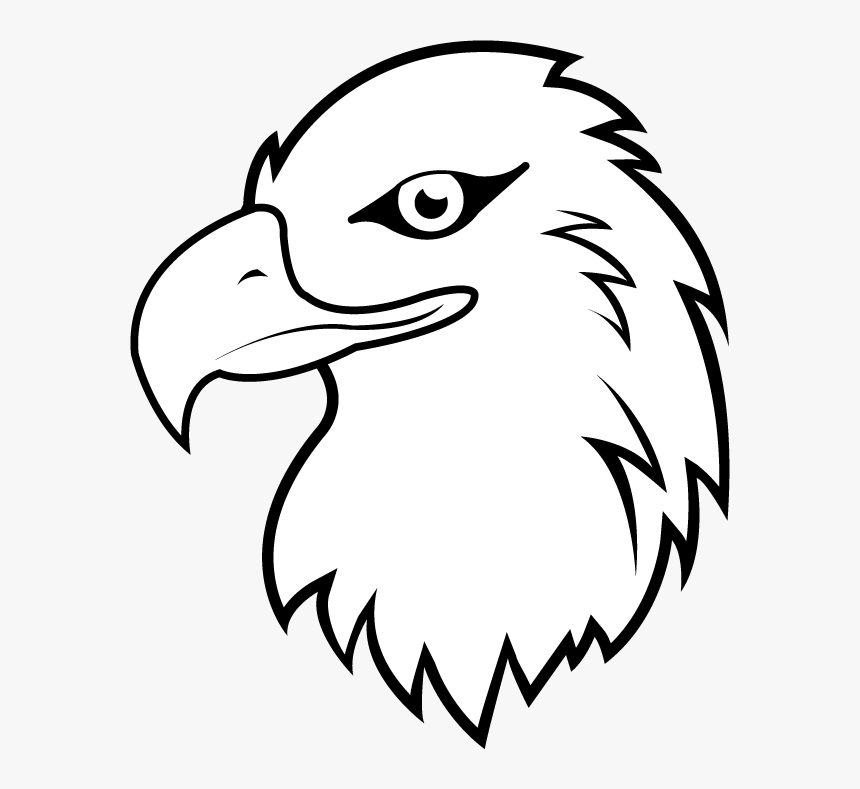 Bald Eagle White-tailed Eagle Clip Art - Eagle Cute Drawing Clip Art, HD Png Download, Free Download