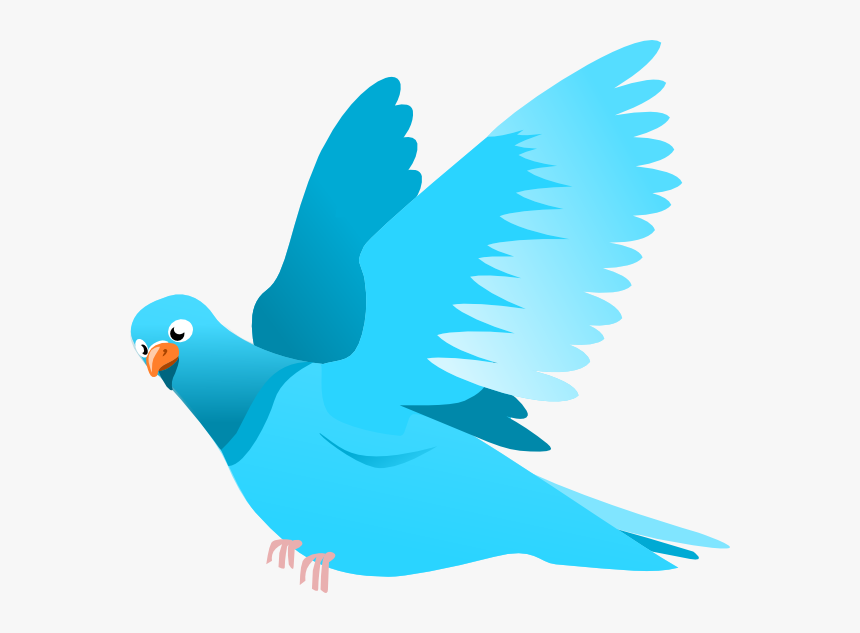 Transparent Flying Bird Silhouette Png - Bird Flying Clipart Png, Png Download, Free Download