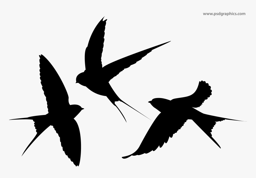 Swallows Png, Transparent Png, Free Download