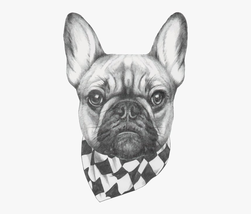 French Bulldog Head Drawing, HD Png Download, Free Download