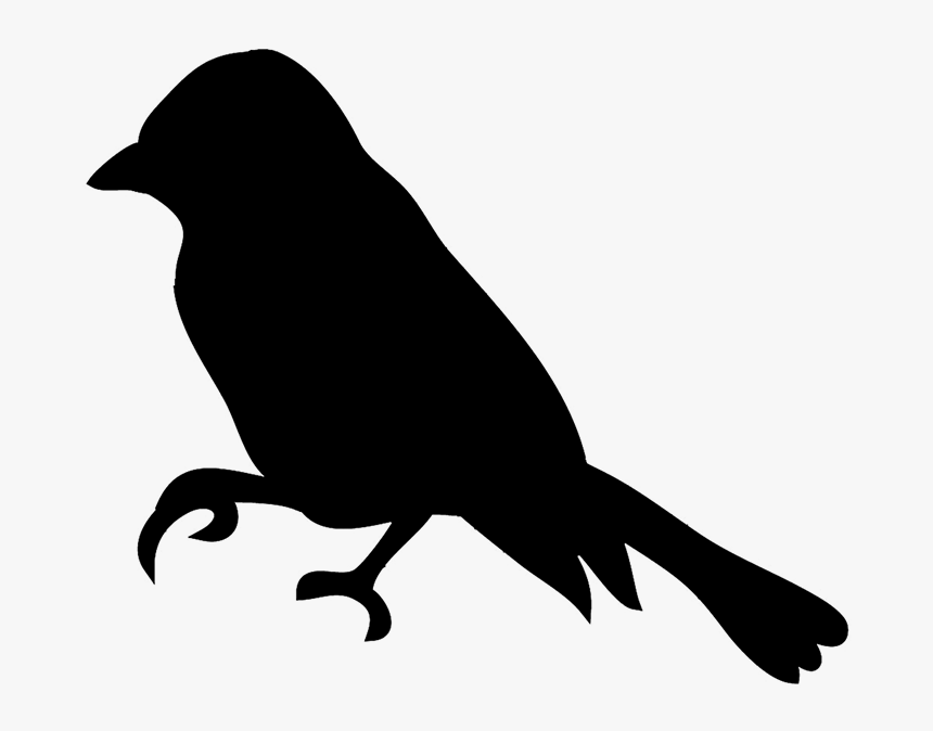 Silhouette Of Flying Bird - Eagle Clipart Black, HD Png Download, Free Download