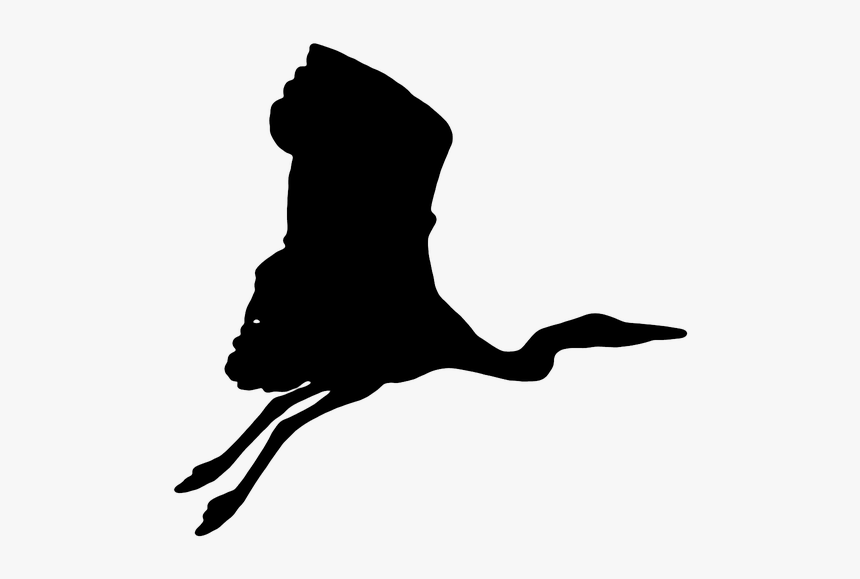 Crane, Bird, The Silhouette, Flight, Fly, Fly Out - Crane Bird Silhouette Png, Transparent Png, Free Download
