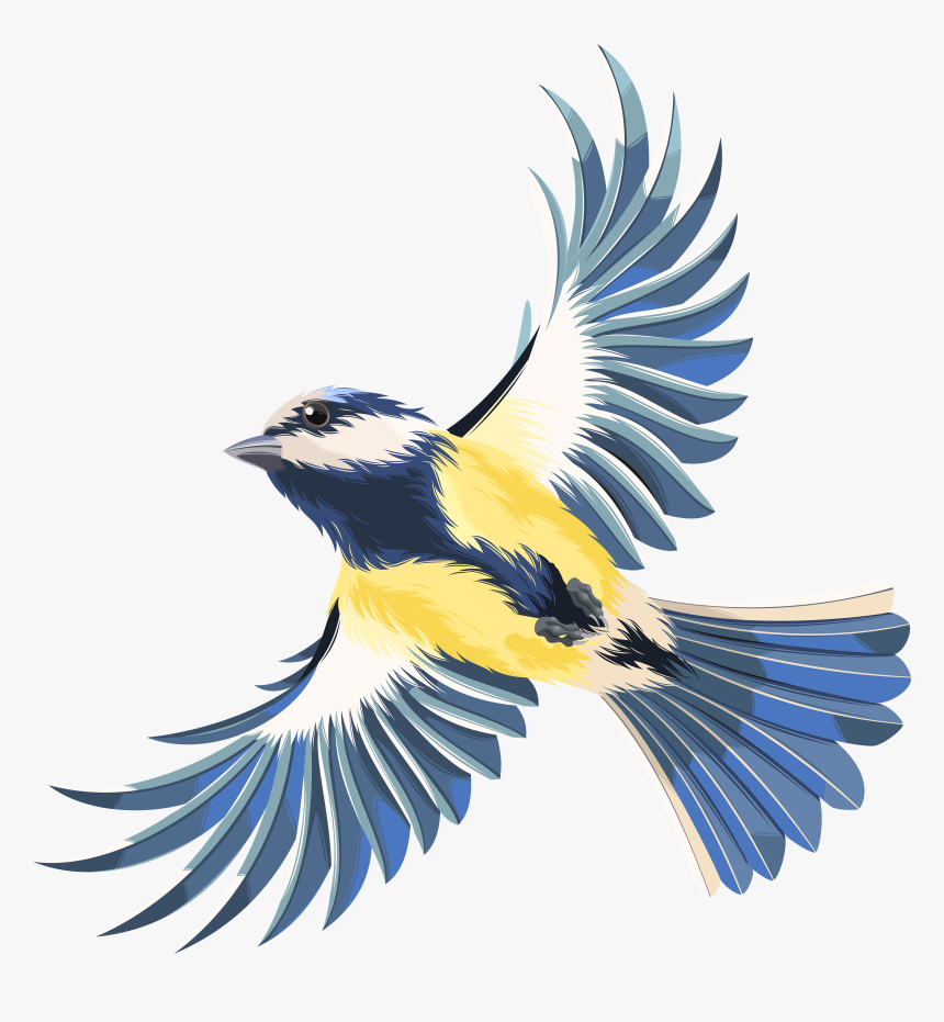 Flying Bird Transparent Png - Flying Bird Without Background, Png Download, Free Download