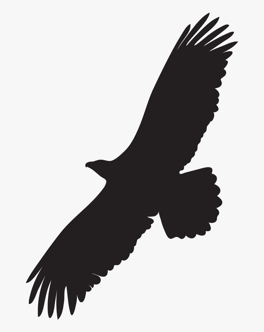 Black And White Eagle - Silhouette Of A Bald Eagle, HD Png Download, Free Download