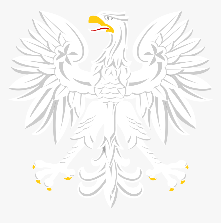 Orzel Bialy Png, Transparent Png, Free Download