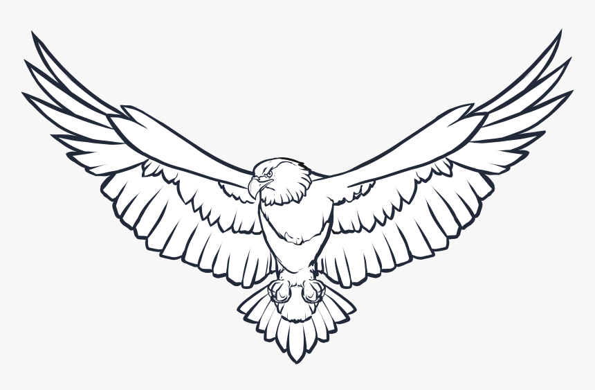 Eagle Wings Png Photo - Eagle Clip Art Black And White, Transparent Png, Free Download