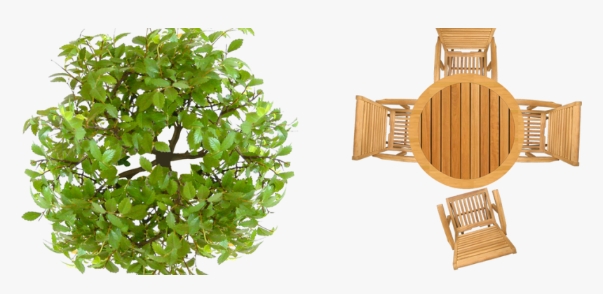 Transparent Plants In Plan Png - Furniture Top View Png, Png Download, Free Download