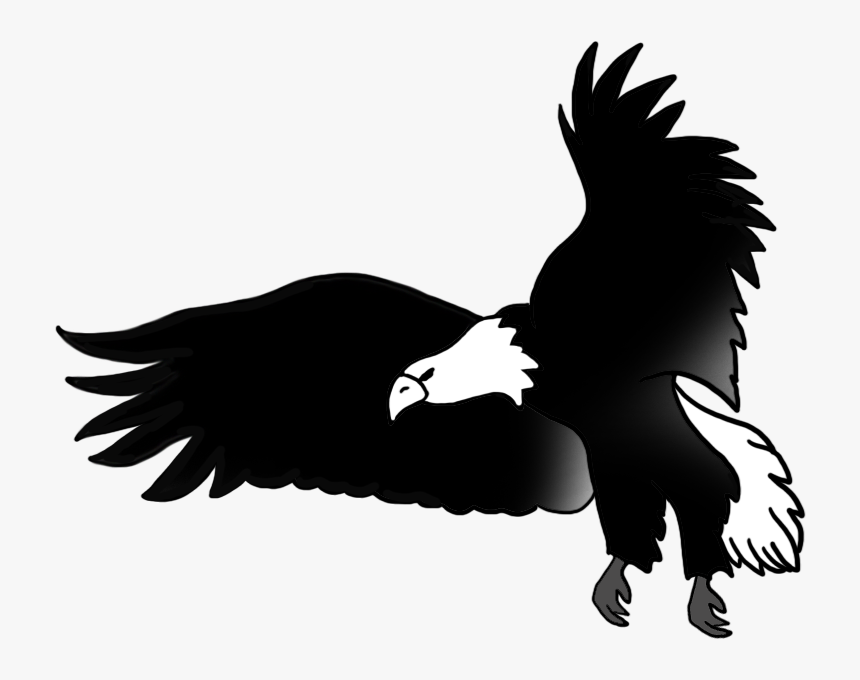 Bald Eagle Circuit Diagram Drawing - Black Eagle For Drawing, HD Png Download, Free Download