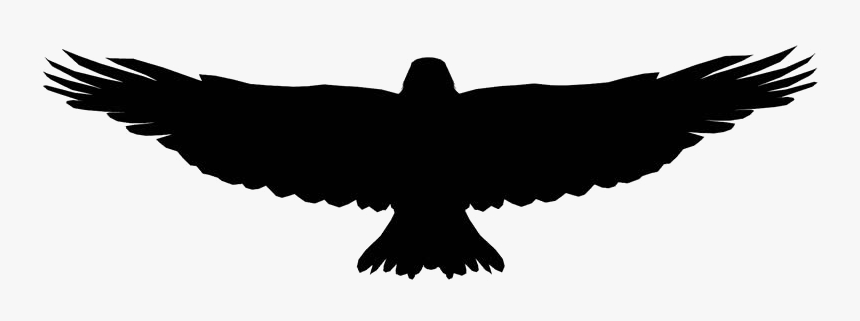 Flying Eagle Free Png Image - Transparent Eagle Flying, Png Download, Free Download