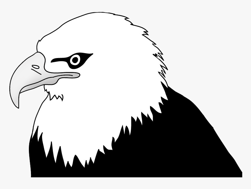 Bald Eagle Head Illustration - Bald Eagle Clipart Black And White, HD Png Download, Free Download