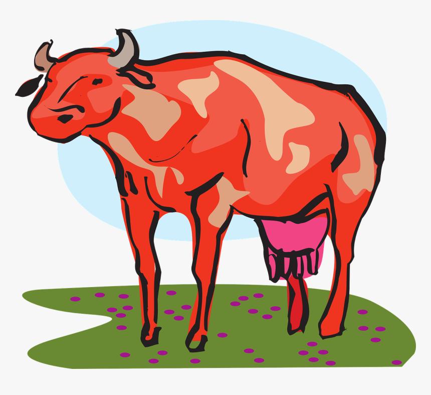Red Cow Clipart, HD Png Download, Free Download