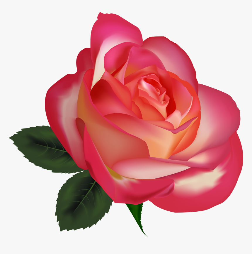 Pink Roses Flowers Png - Beautiful Clip Art, Transparent Png, Free Download