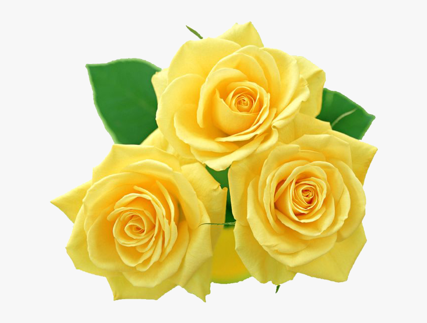 Yellow Flowers Bouquet Png File - Yellow Flowers Png, Transparent Png, Free Download