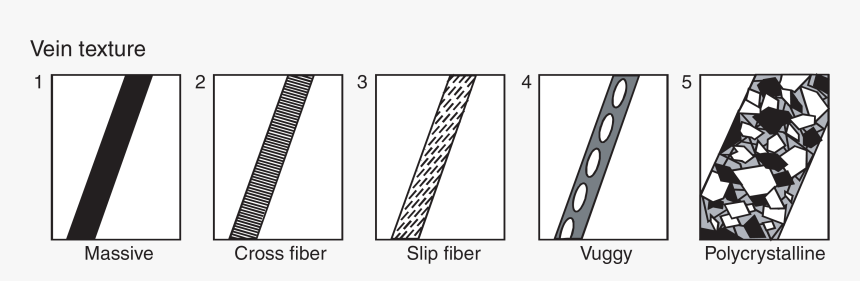 Textures Used To Describe Veins - Types Of Veins Geology, HD Png Download, Free Download