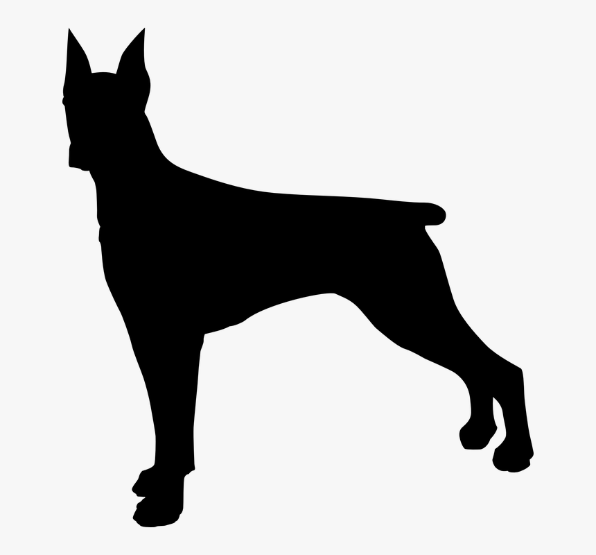 Doberman Dog Silhouette Clip Art - Transparent Background Dog Silhouette Png, Png Download, Free Download