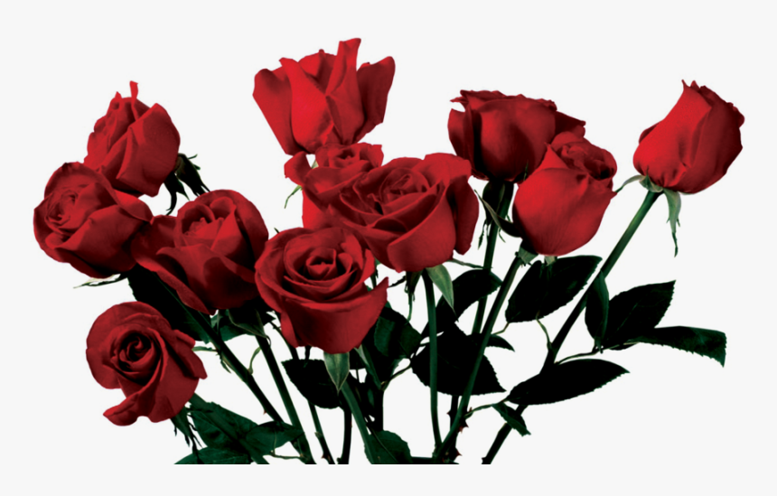#rose #flowers #png #love #art #interesting #nature - Roses Png, Transparent Png, Free Download