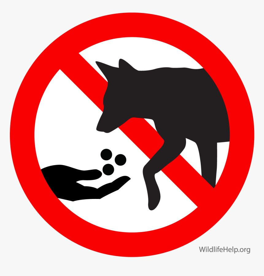 Food Dangerous Png - Don T Feed Animals Sign, Transparent Png, Free Download