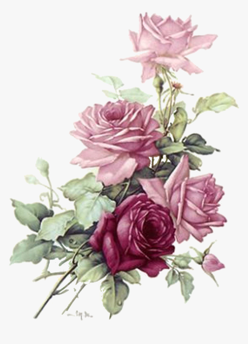 Transparent Vintage Roses Png - Pink Roses Png Transparent, Png Download, Free Download