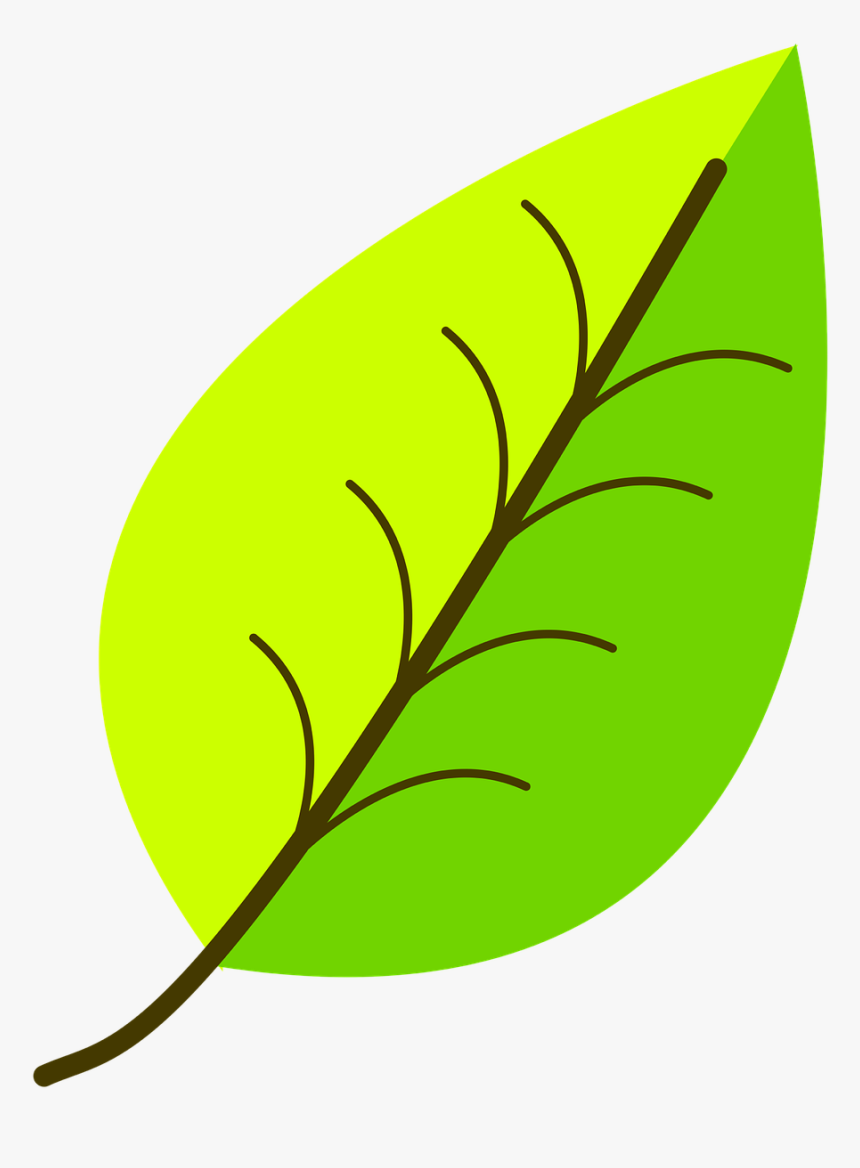 Green, Leaf, Pattern, Shades, Simple, Veins, Venation - Leaf Drawing With Color, HD Png Download, Free Download