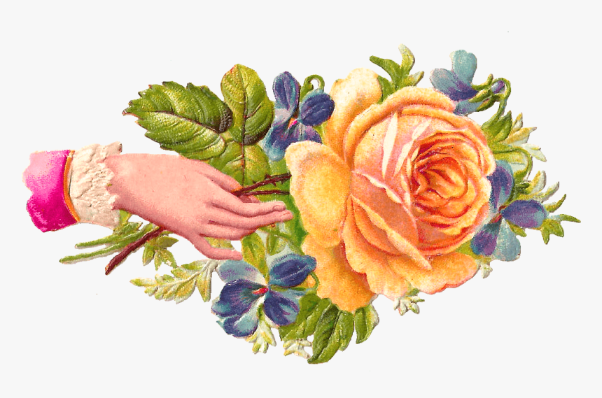 Hand Rose - Welcome Images With Hands, HD Png Download, Free Download