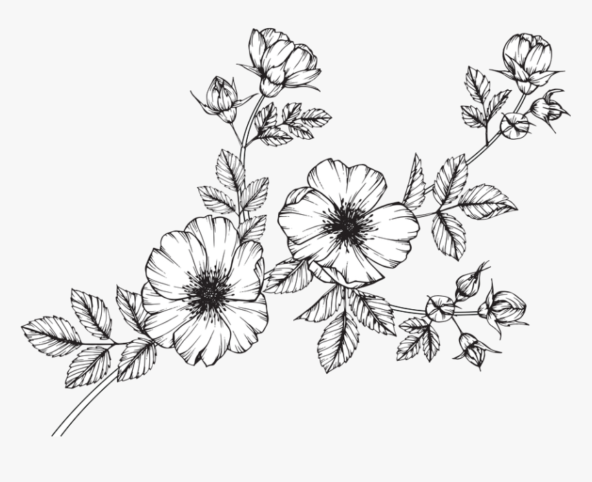 Clip Art Collection Of Free Wildflower - Flower Drawing Black And White, HD Png Download, Free Download