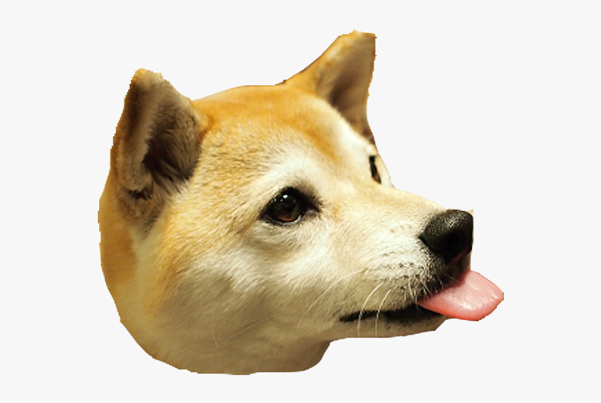 Clip Art Dog Head - Dog Head Png, Transparent Png, Free Download